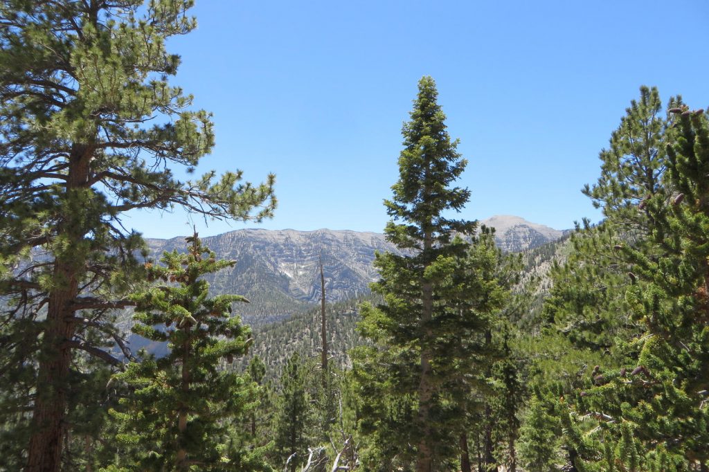There's so much more to Las Vegas than The Strip! Check out the five best day trips to take from Las Vegas. For more on planning your trip to Las Vegas, visit www.vegansbaby.com
