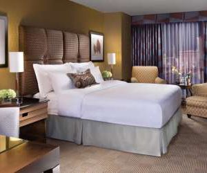 Family-friendly, New York-New York is also budget-friendly. Located on The Strip in Las Vegas, it's got fun for all ages. For more Las Vegas hotels, check out www.vegansbaby.com