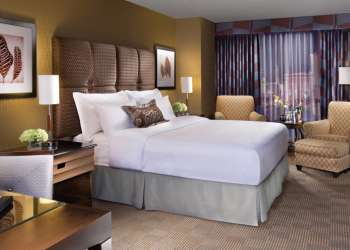 Family-friendly, New York-New York is also budget-friendly. Located on The Strip in Las Vegas, it's got fun for all ages. For more Las Vegas hotels, check out www.vegansbaby.com